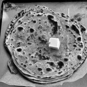 Cheese Paratha 