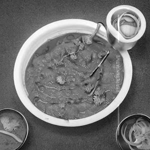 Dal Gujarati (Noon)