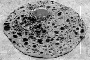 Peshawari Paratha