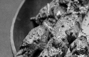 Chicken Garlic Tikka