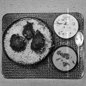 Special Chicken Biryani Regular
