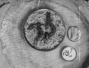 Tadke Wali Khichdi