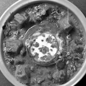 Navratri Puri Sabji Fresh Dahi