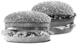 2 Veg Burger