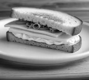 Cheese sandwich                                                  