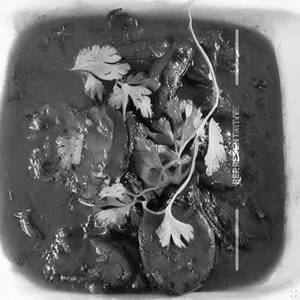 Mushroom Hydrabadi
