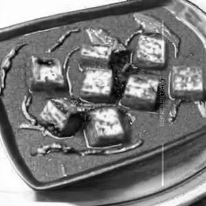 Paneer Hungama