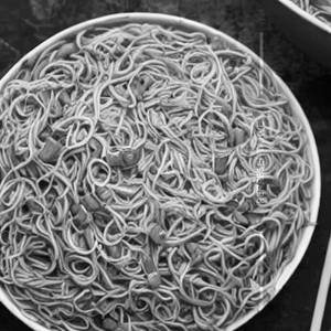 Egg. Noodle