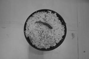 Jeera Rice
