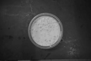 Boondi Raita