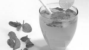 Pudina Mimbo Pani