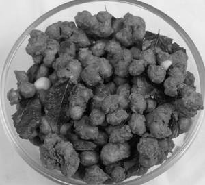 Masala peanut