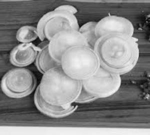 Onion Salad
