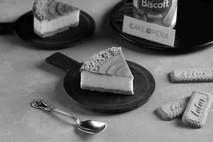 Biscoff Cheese Cake Slice