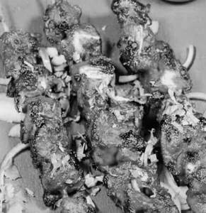 Chicken Tikka
