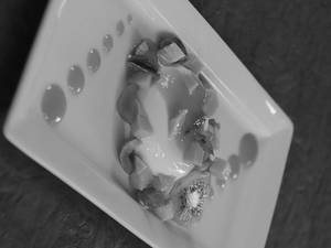 Panna Cotta