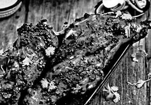 Buy Tandoori Chicken Get [Full] Half Tandoori Chicken Free