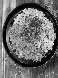 Chiken Tiranga Fried Rice