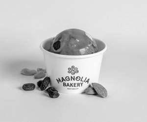 FRUIT & NUT ICE CREAM