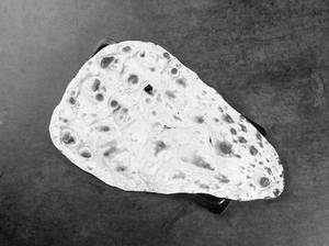 Plain Nan