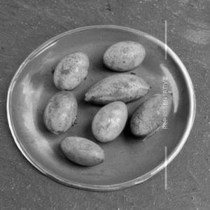 Egg Fry