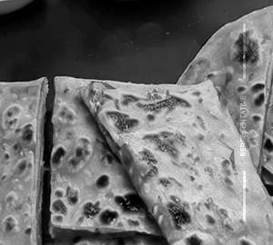 Chini Paratha 