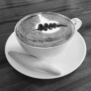 Cocoa Mocha