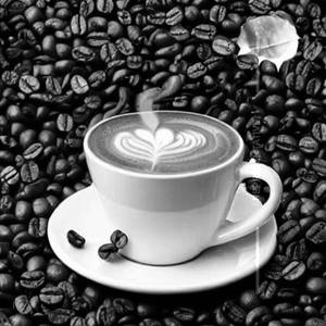International Single Origin Coffee (Costa Rica)