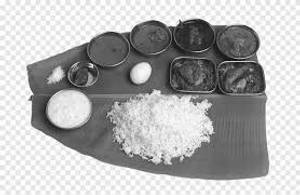 Non Veg Meals