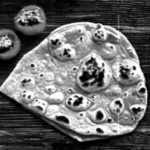 Chapati plain