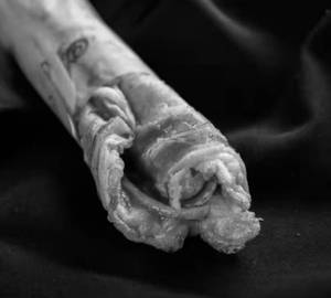 Double egg roll