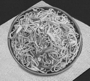 Veg Noodles