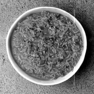 Rassam Rice