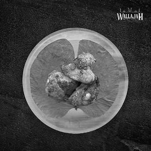 Chicken Nuggets (3pcs)