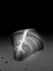Korean Cream Cheese Croissant
