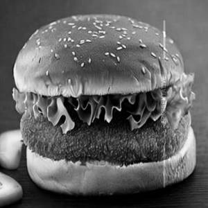 Fish  Burgers