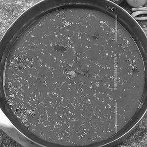 Veg tangdi gravy