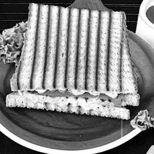 Veg. Cheese Sandwich