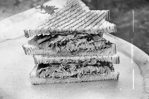 Bombay Street Sandwich