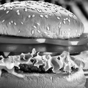 Vegetarian  Burgers