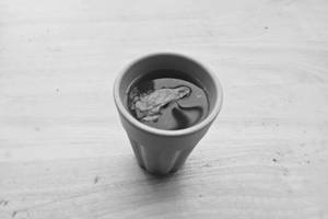 TS Lemon Tea