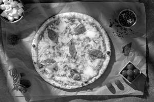 New York Double Cheese Margherita Pizza