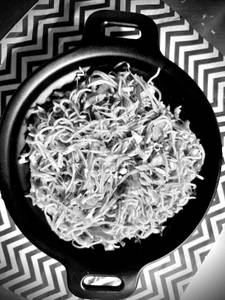 Veg Hakka Noodles