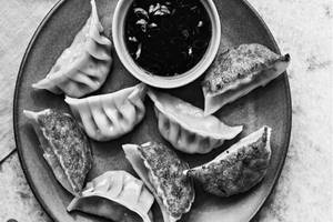 Chicken Pan Fried Dumplings