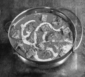 Shahi Paneer