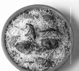 Chicken Biryani 1 Pet