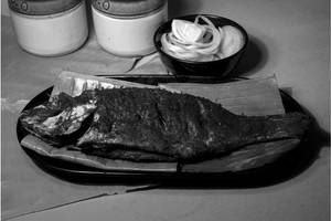 Chemballi (red Snapper) Fry