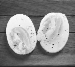 Boiled Egg
