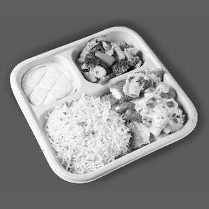 Chicken Schnitzel