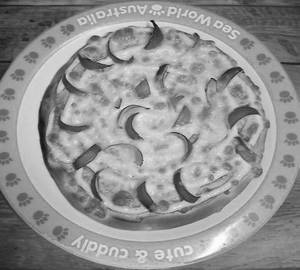 Onion pizza